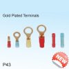 Gold Plated Terminals